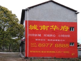 南城百分之90的人都不了解的农村墙体广告