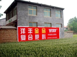 南城如何让墙体广告展现最大化效果