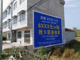 南城墙体广告质量分析
