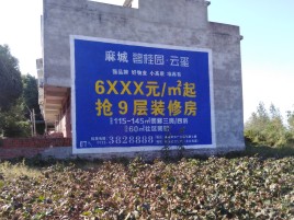 南城品牌公司青睐的墙体广告